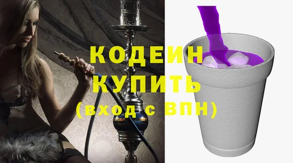 дмт Бородино
