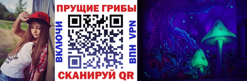 Галлюциногенные грибы Psilocybe  наркотики  Донской 